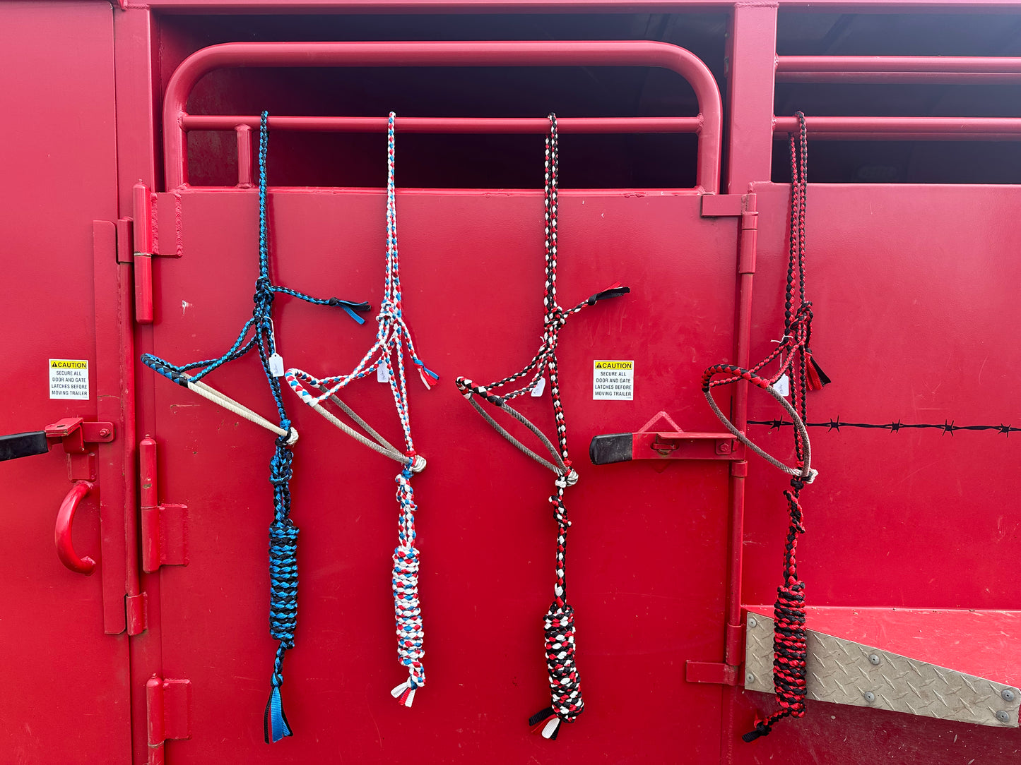 Mule Tape Halters