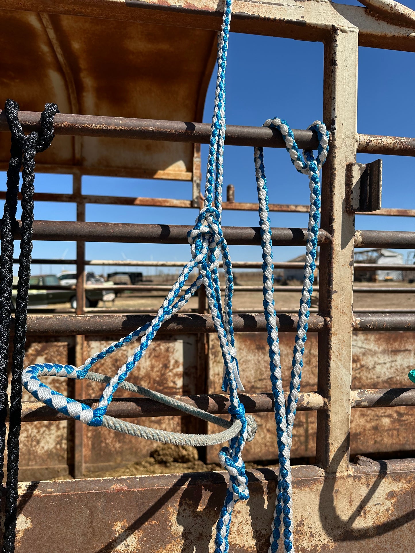 Mule Tape Halters