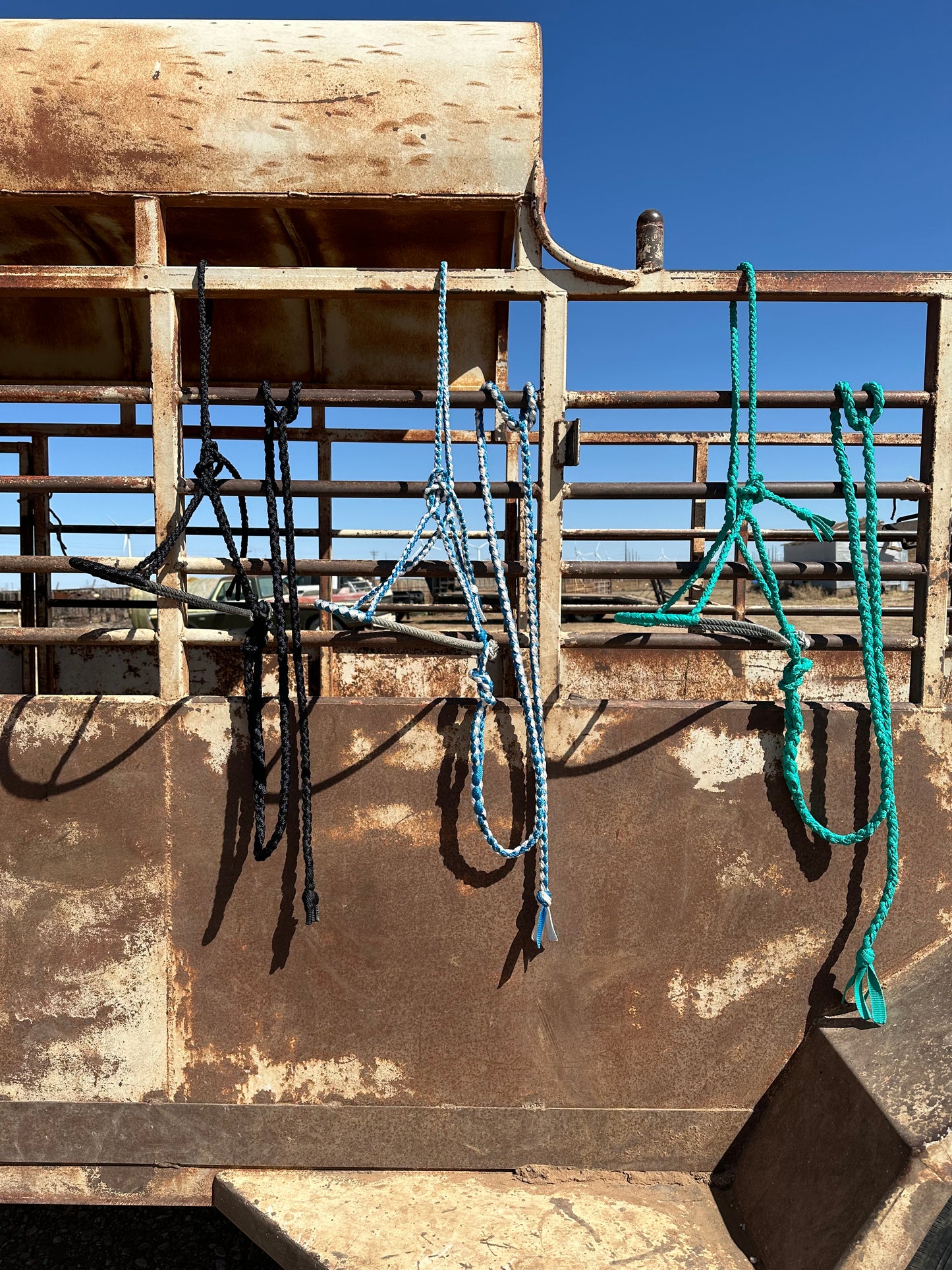 Mule Tape Halters